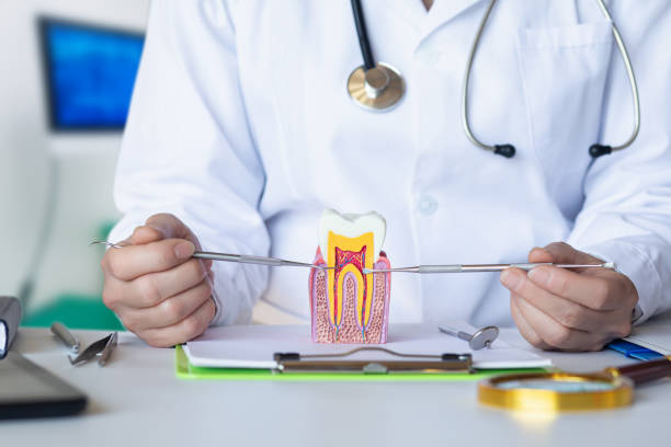 Best Emergency Denture Repair in Golden Grove, SC